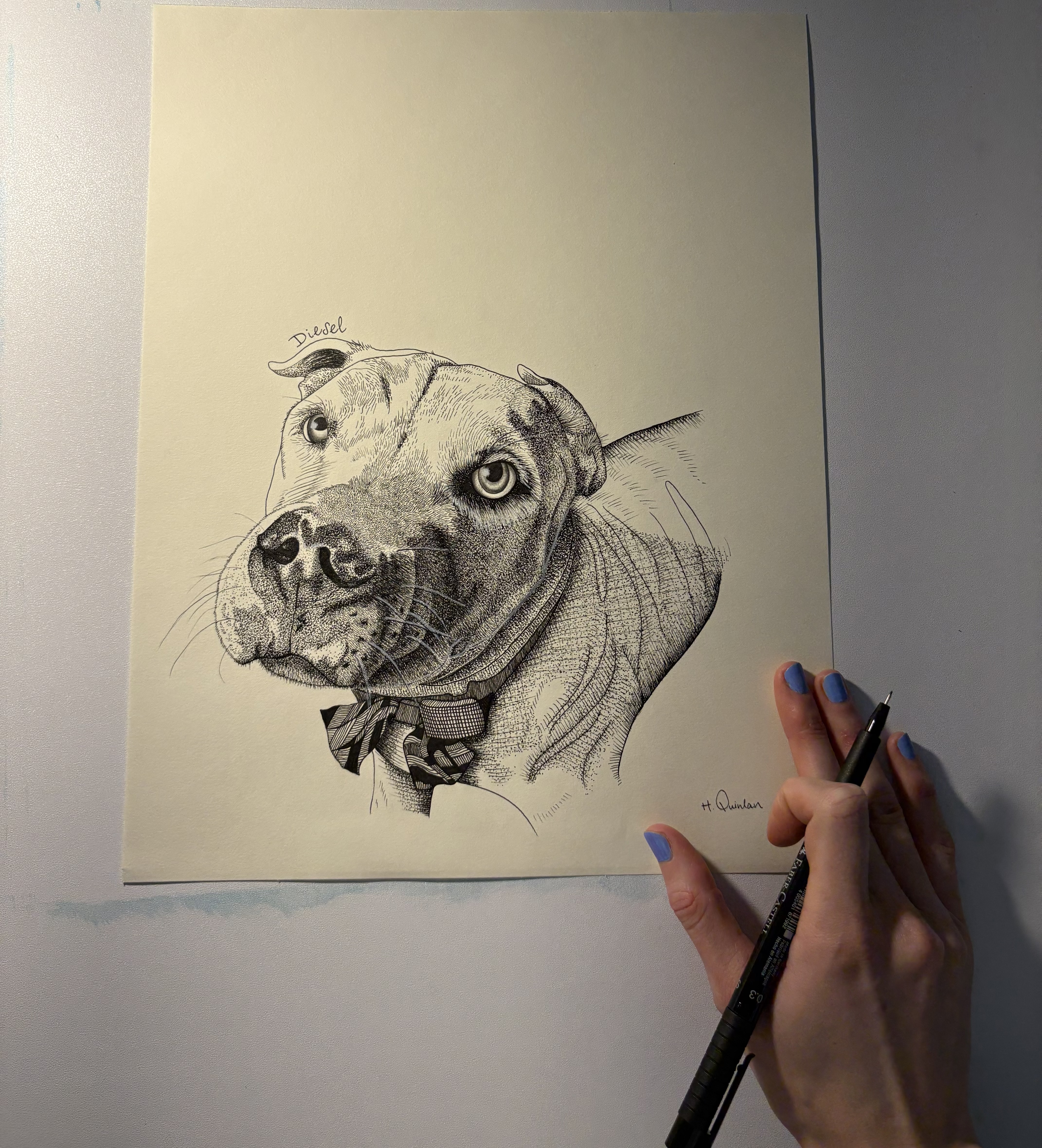 Haley Quinlan working on a pen and ink portrait of a dog
