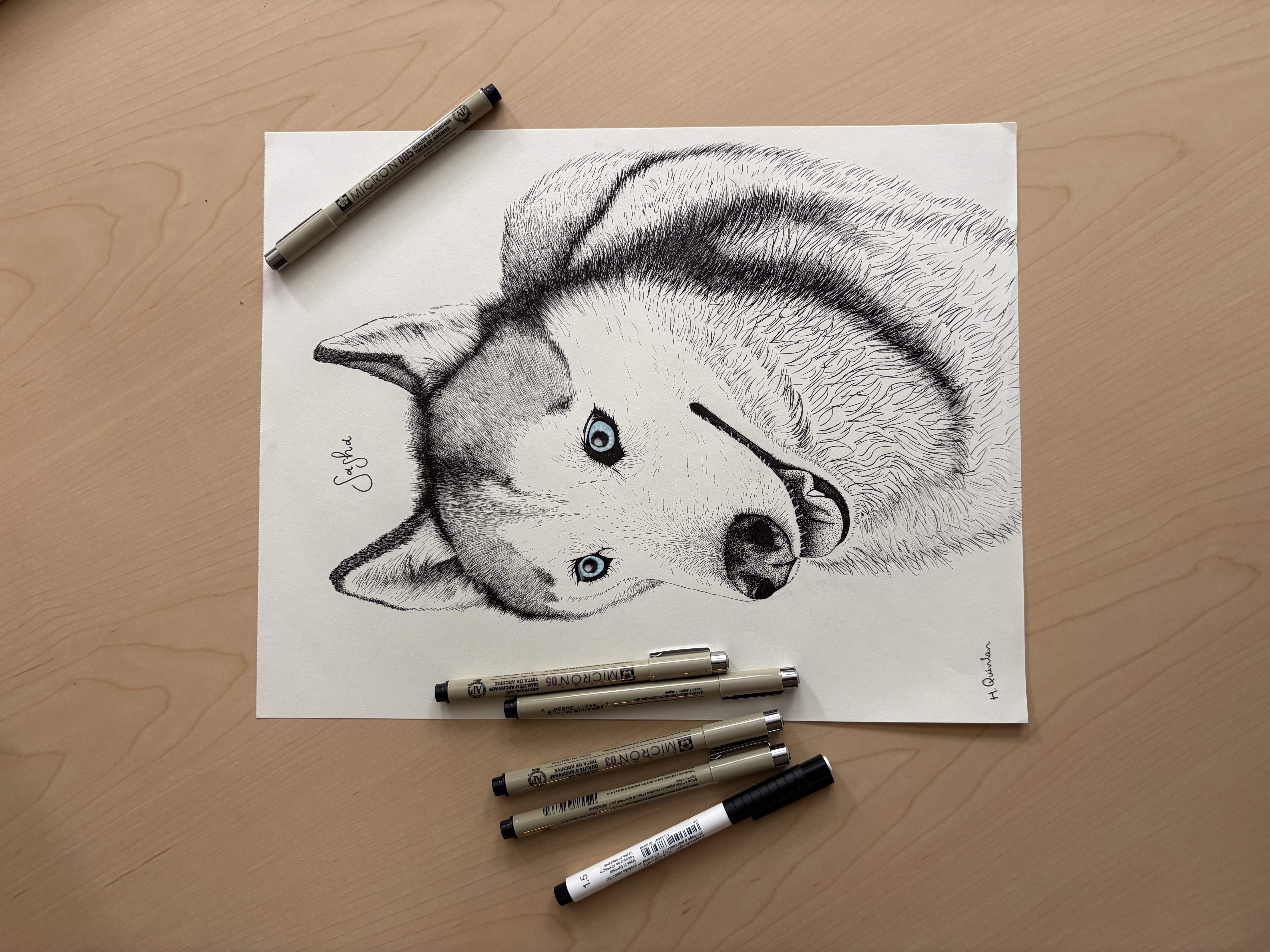 Pen and ink portrait of a husky named Sophie