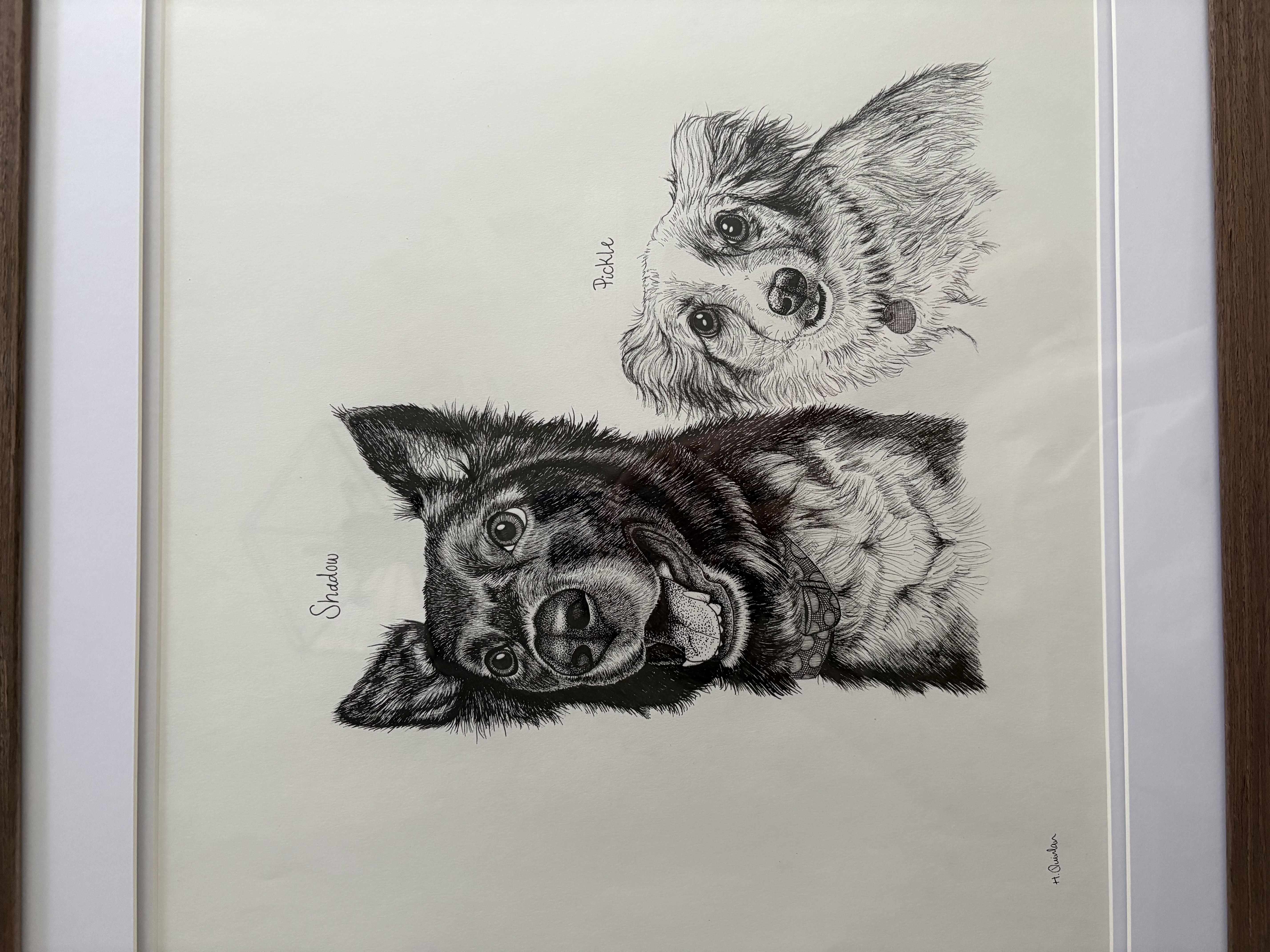 Pen and ink portrait of two dogs, Shadow and Pixie