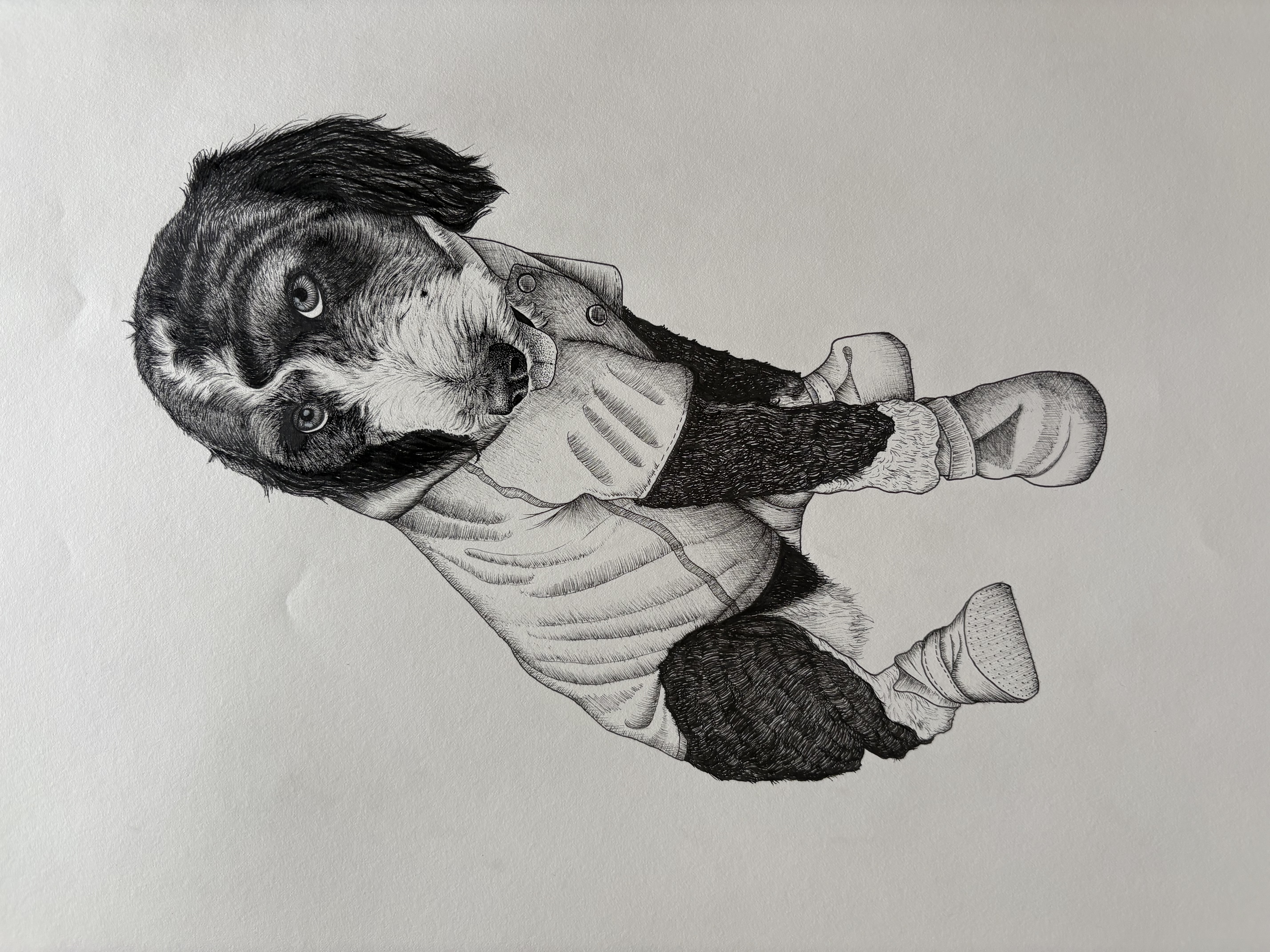 Pen and ink drawing of a dog dressed in a coat and boots