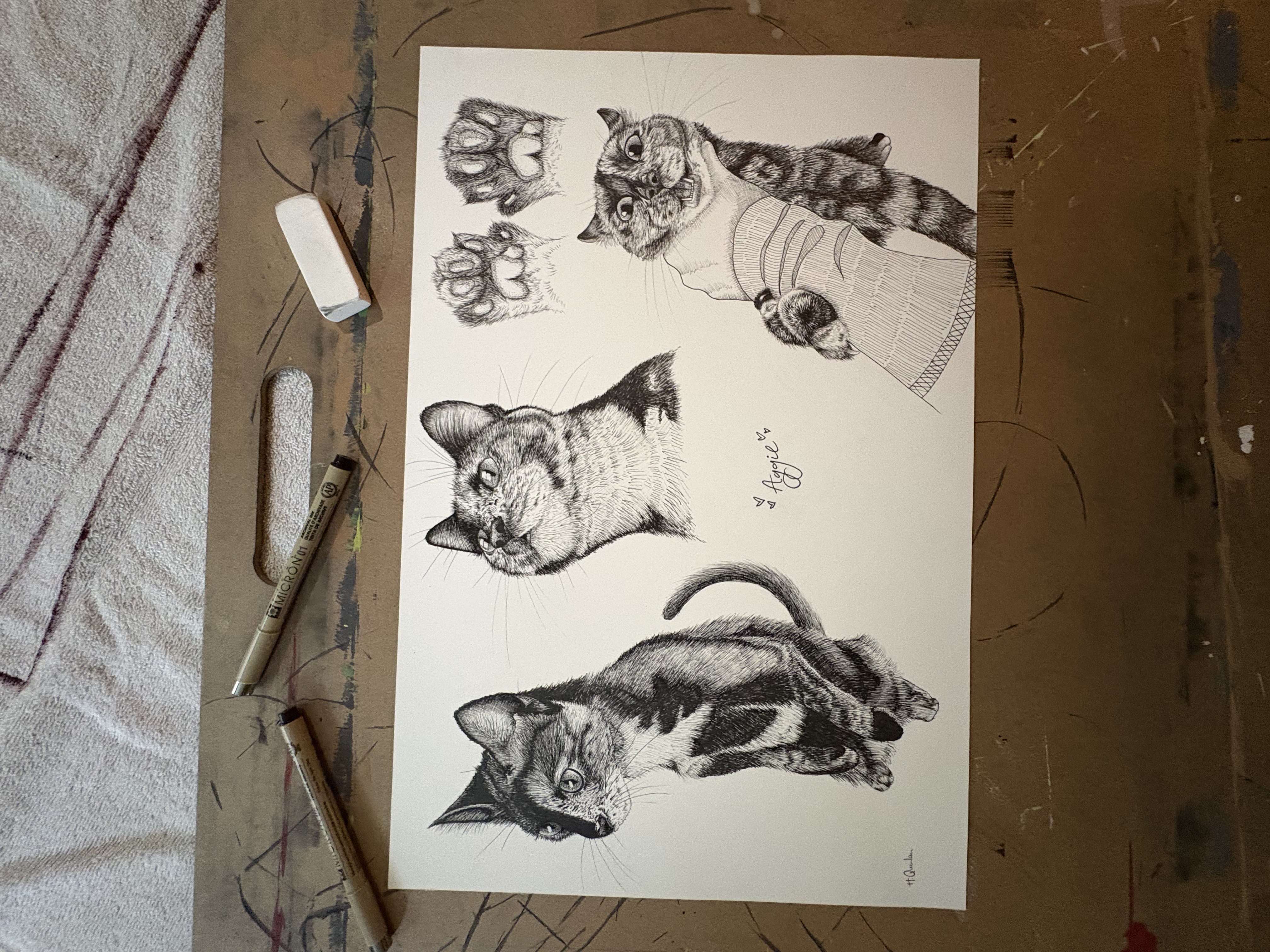 Pen and ink study sheet of a cat named Aggie, with multiple poses and paw sketches