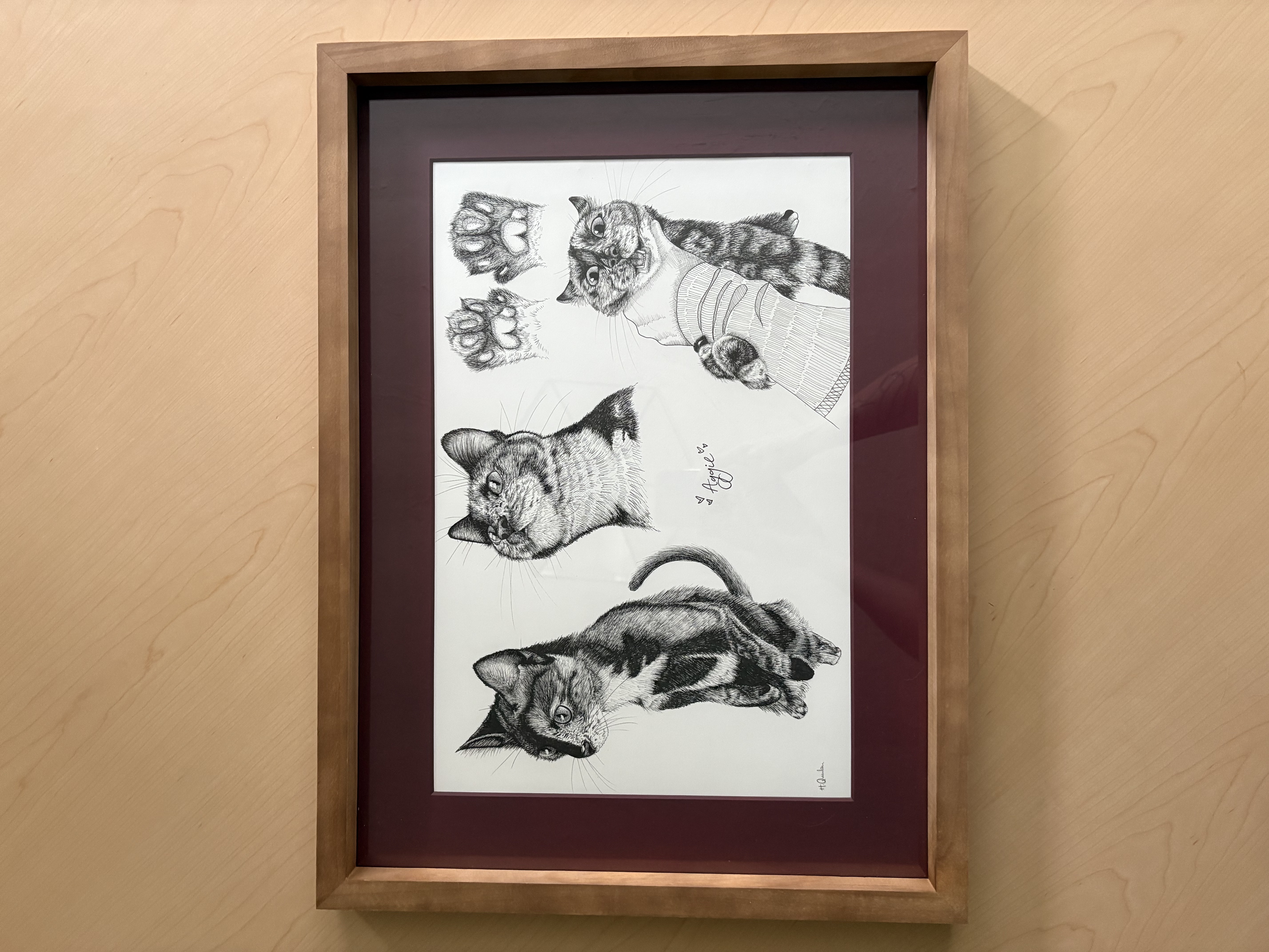 Framed pen and ink study sheet of a cat named Aggie, with multiple poses and paw sketches
