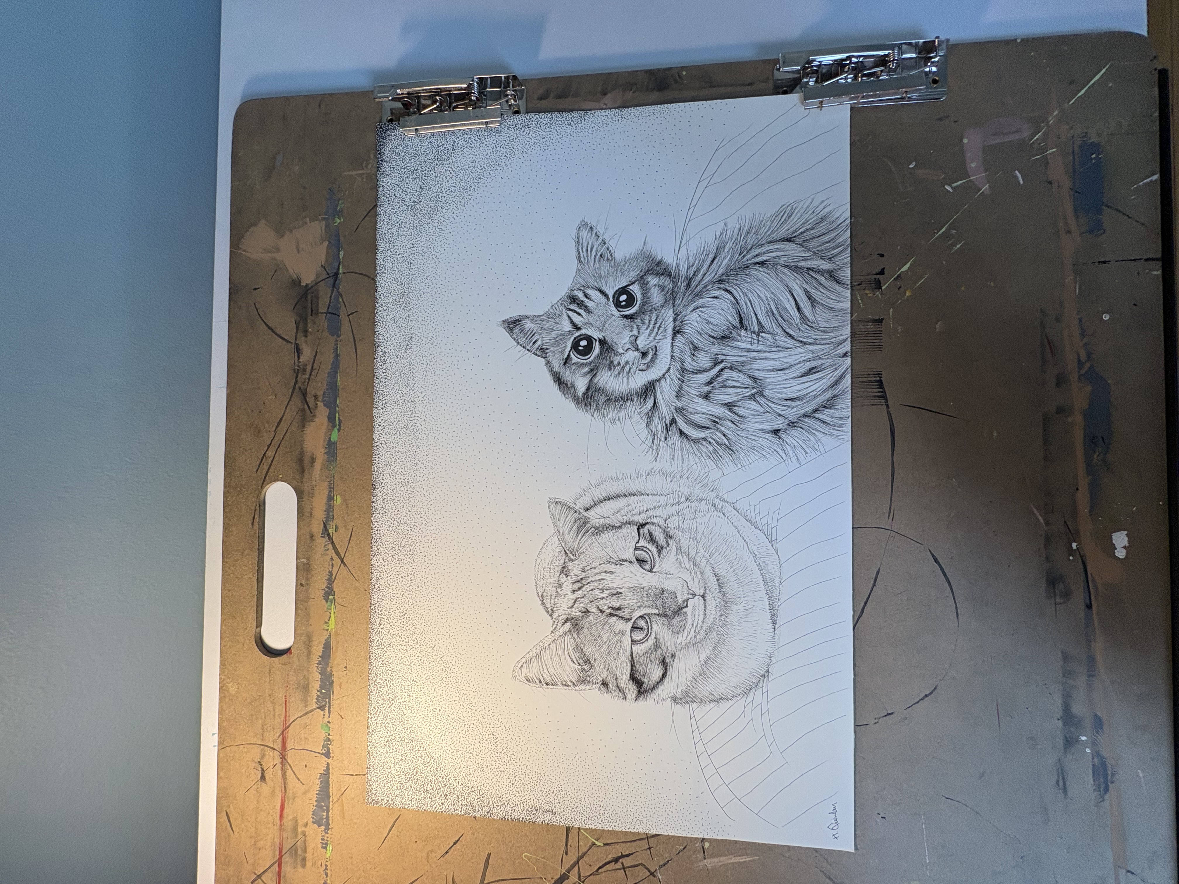 Pen and ink portrait of two cats, one tabby and one long-haired
