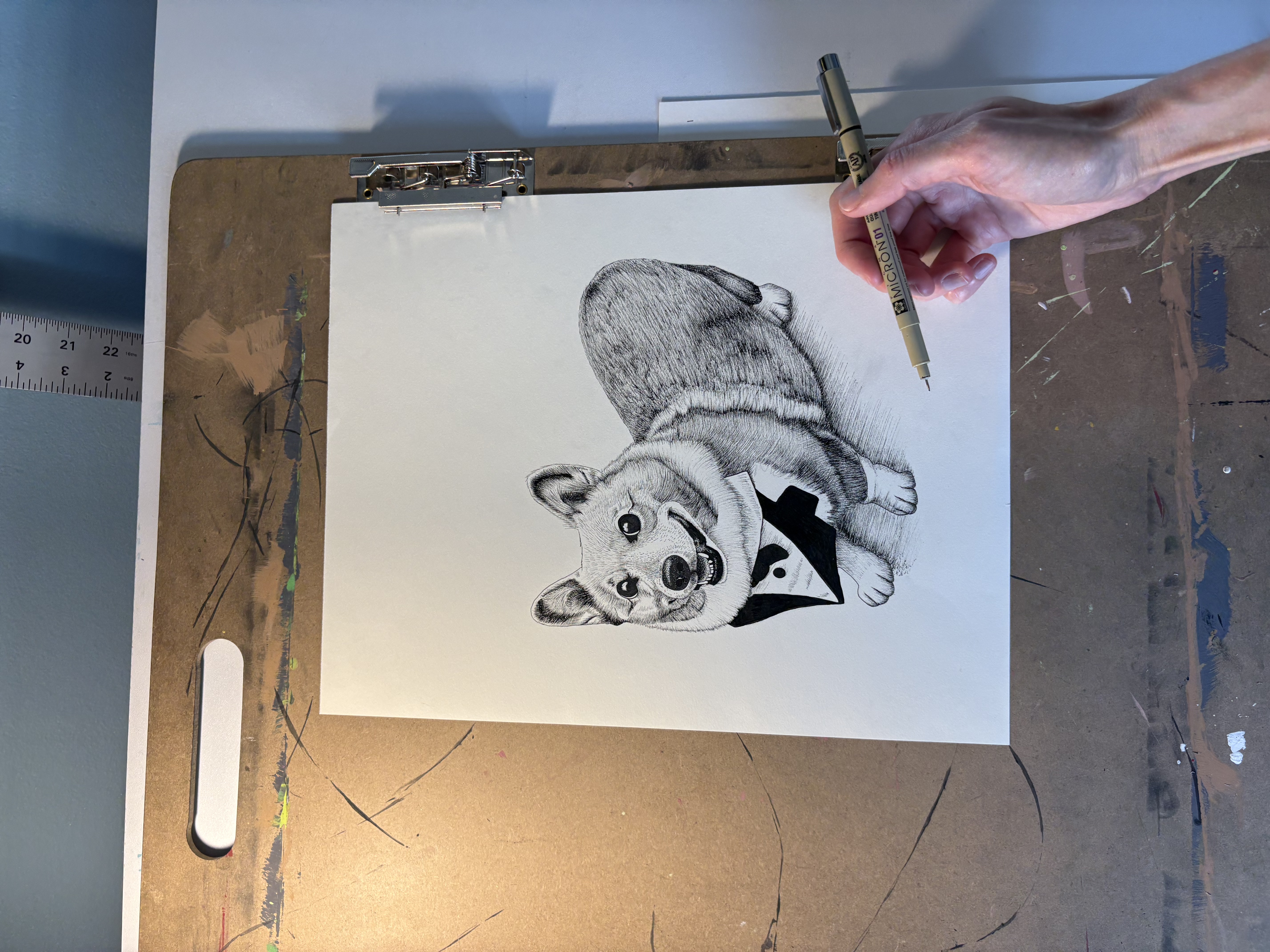 Pen and ink portrait of a corgi in progress