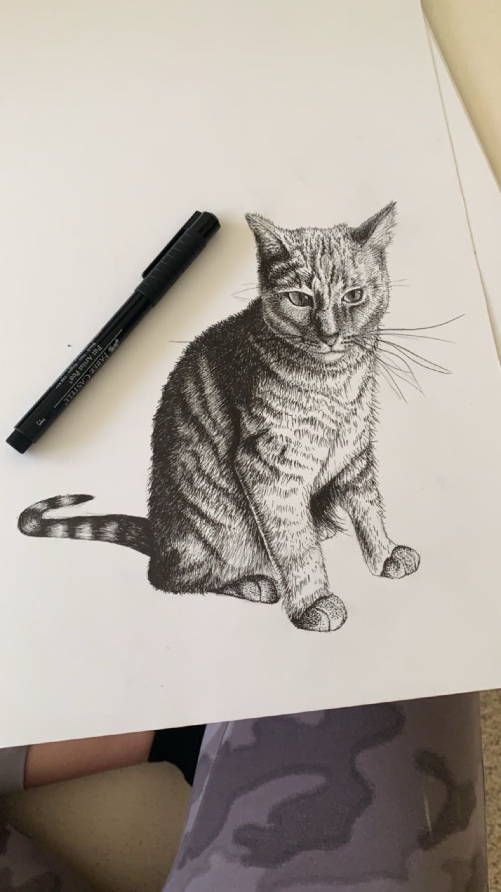 Detailed pen and ink drawing of a tabby cat
