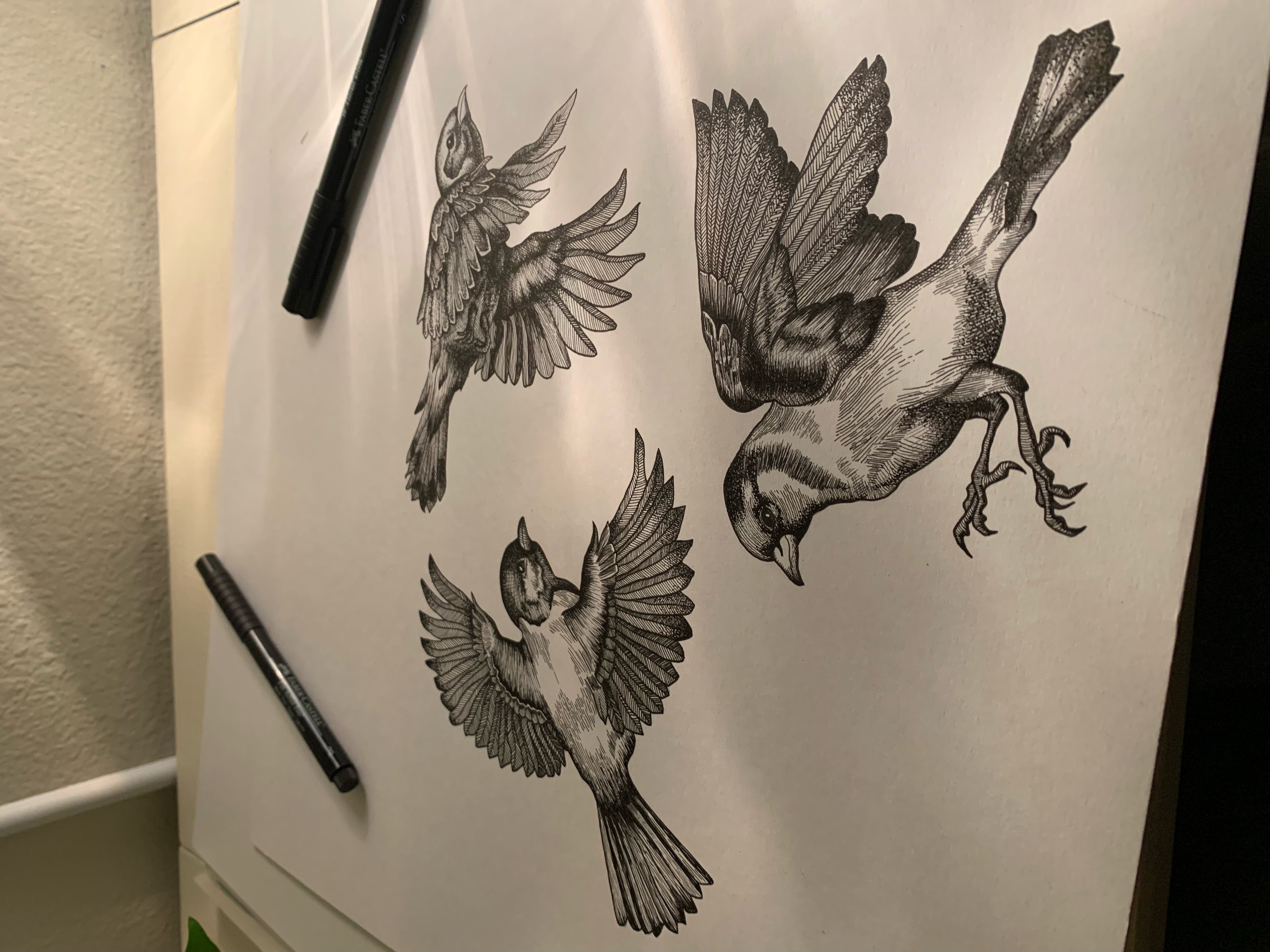 Pen and ink illustration of sparrows in flight