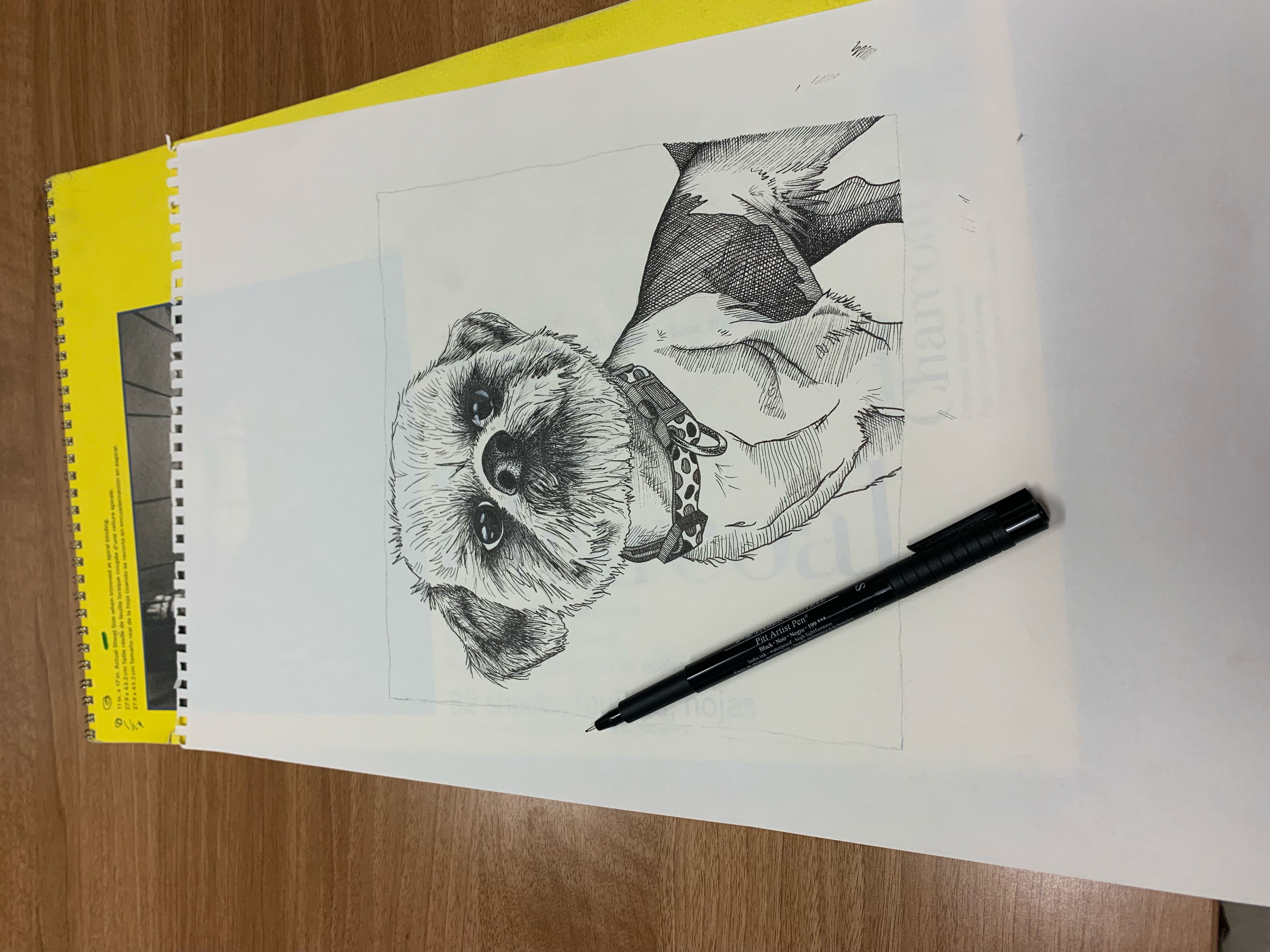 Pen and ink portrait of a fluffy dog with a collar