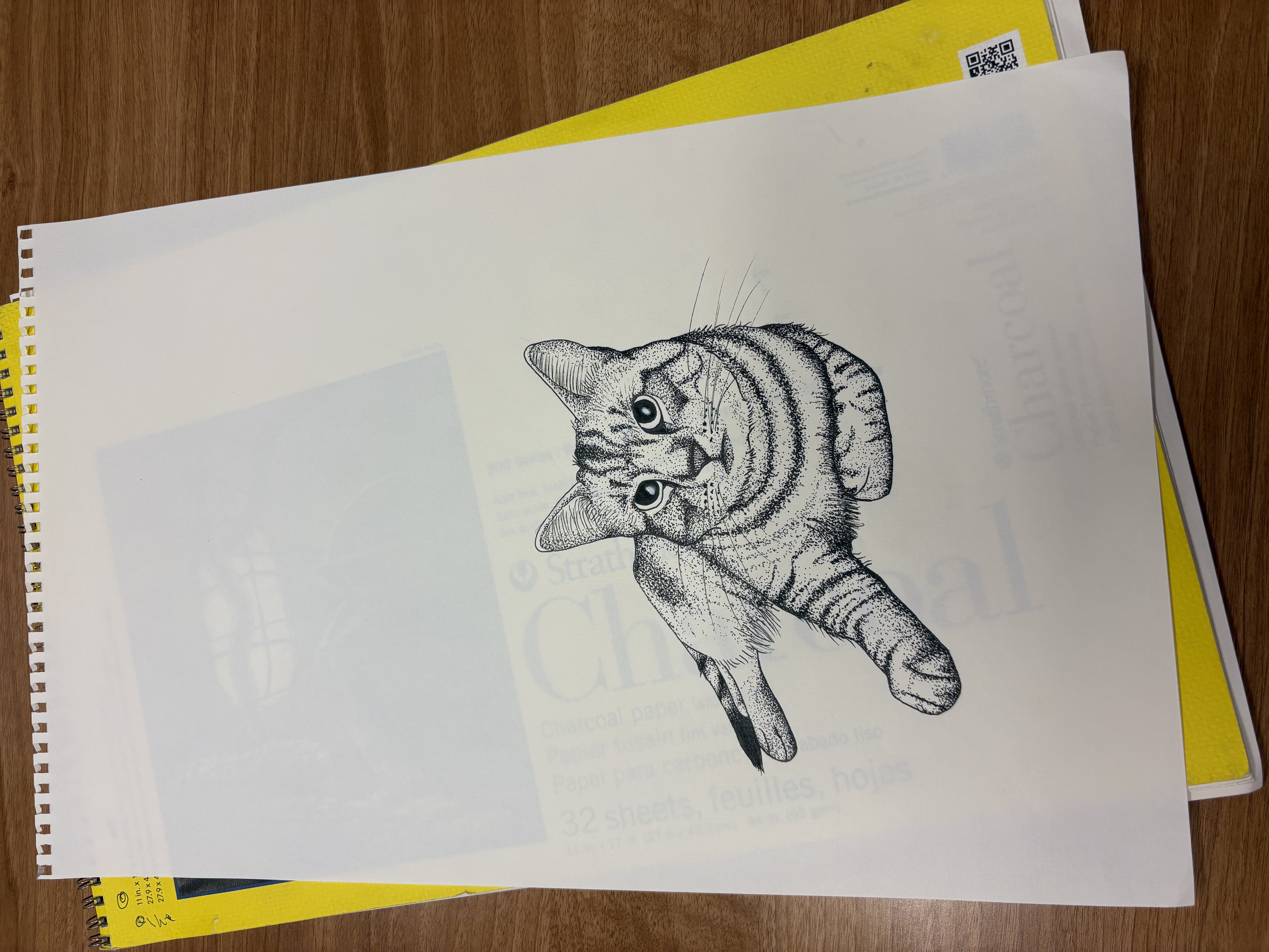 Pen and ink drawing of a tabby kitten looking up