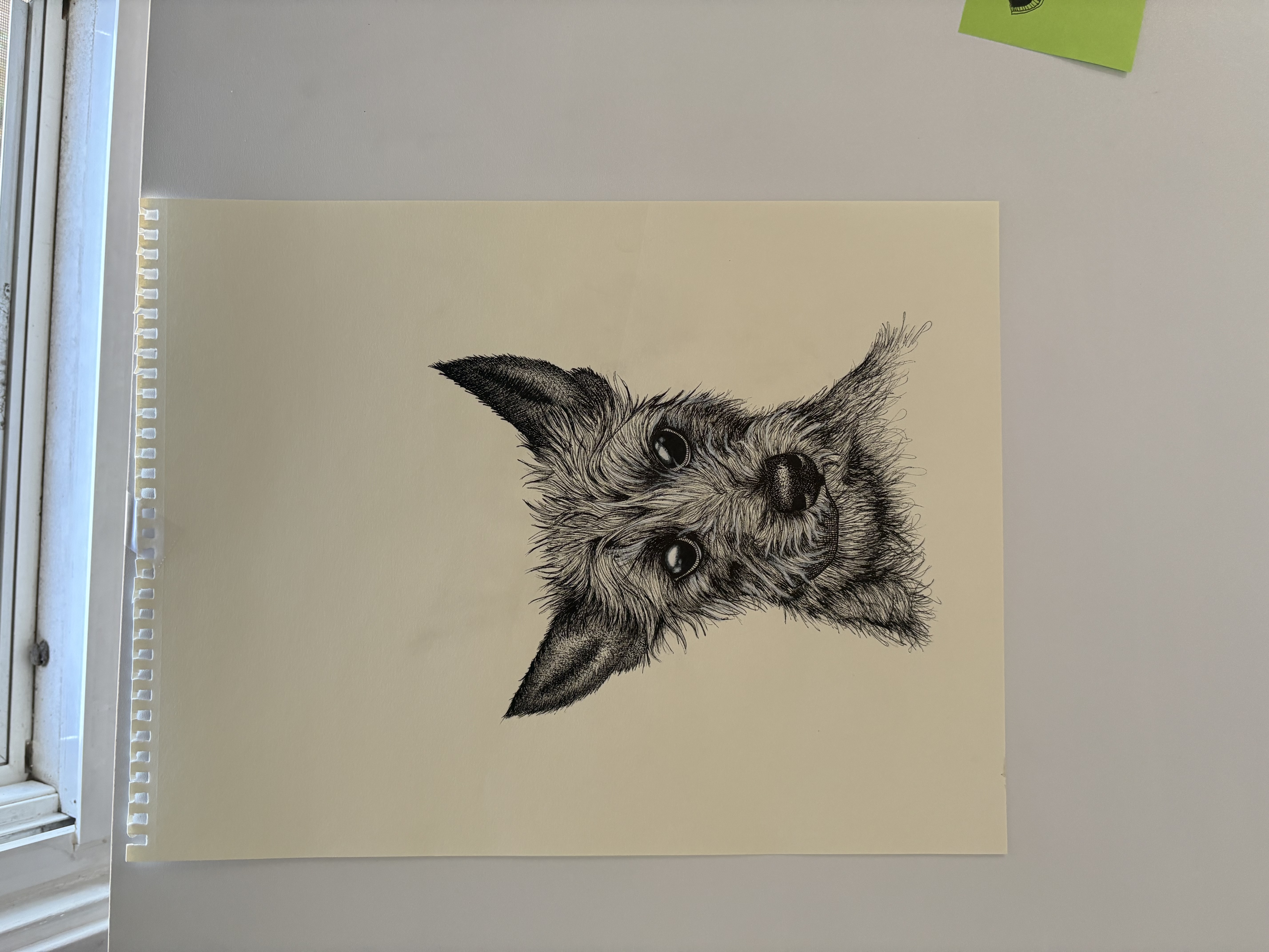 Pen and ink portrait of a small scruffy dog
