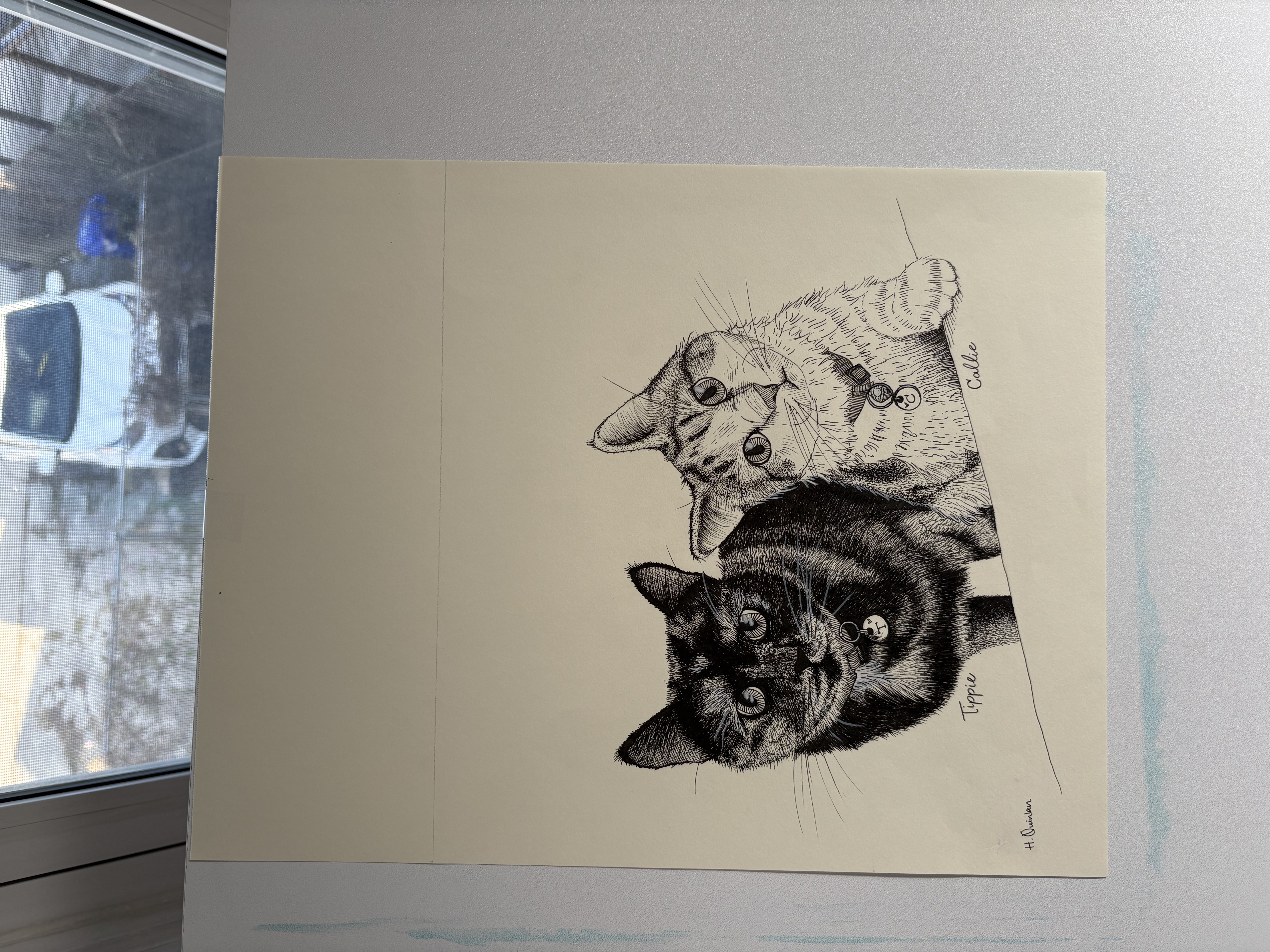 Pen and ink illustration of two cats, Tippy and Callie